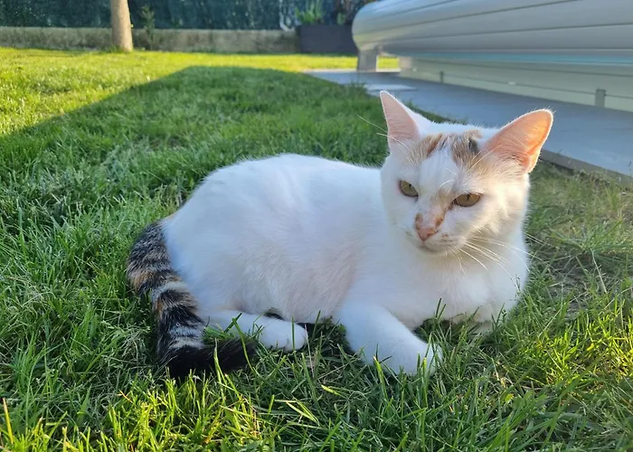 Villa Agreable Maison Tarnaise *