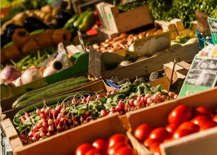 Agreable Maison Tarnaise Villa