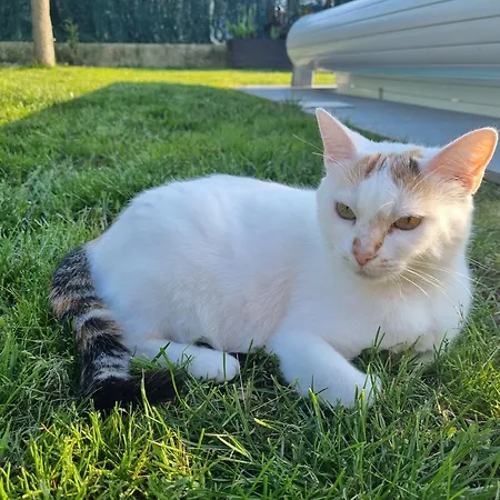 Вилла Agreable Maison Tarnaise *