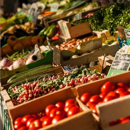 Agreable Maison Tarnaise Villa